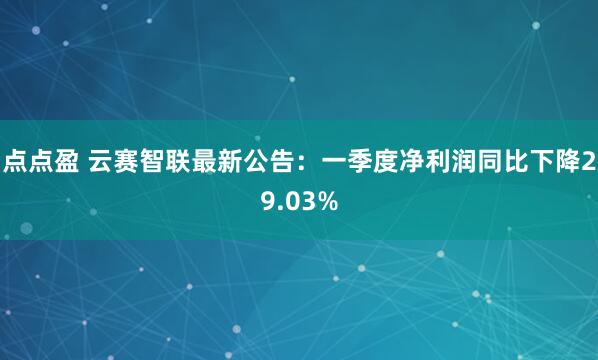 点点盈 云赛智联最新公告：一季度净利润同比下降29.03%