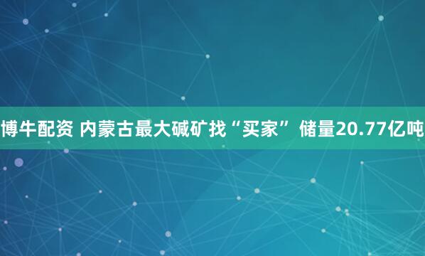 博牛配资 内蒙古最大碱矿找“买家” 储量20.77亿吨
