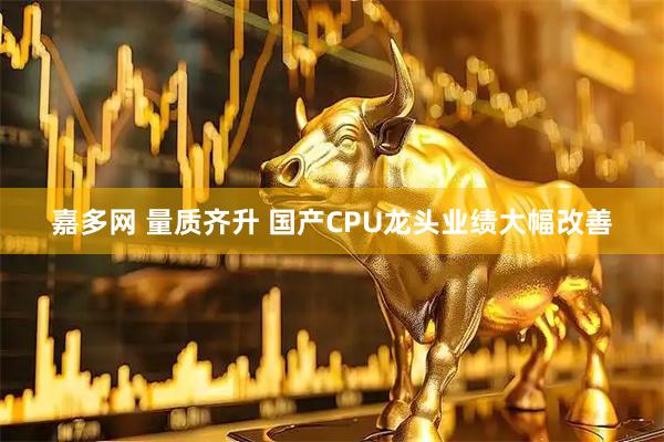 嘉多网 量质齐升 国产CPU龙头业绩大幅改善